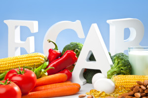 Vitamin letters and vegies landscapel